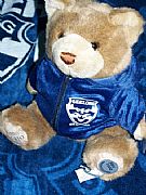 AFL PREMIERSHIP BEAR 29CM & TOWEL 2009 NEW GEELONG CATS 82 CM X 152 CM